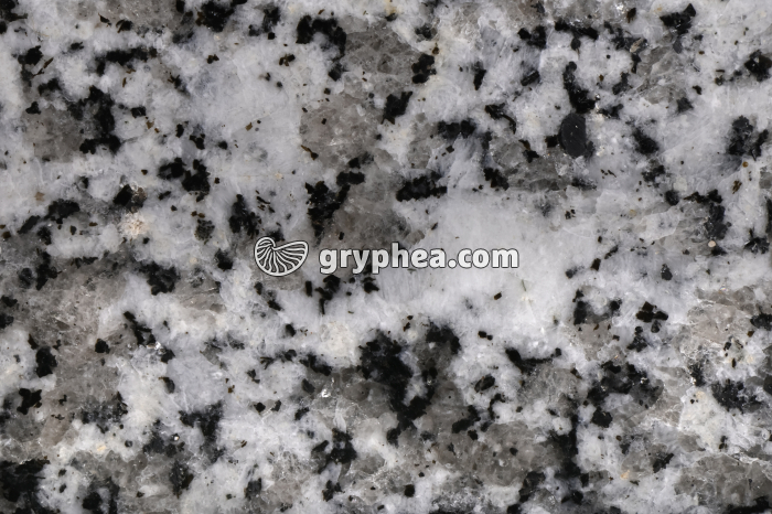 Granite - surface polie - détail - gryphea.com